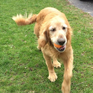 Meet your Posher, Jaylen